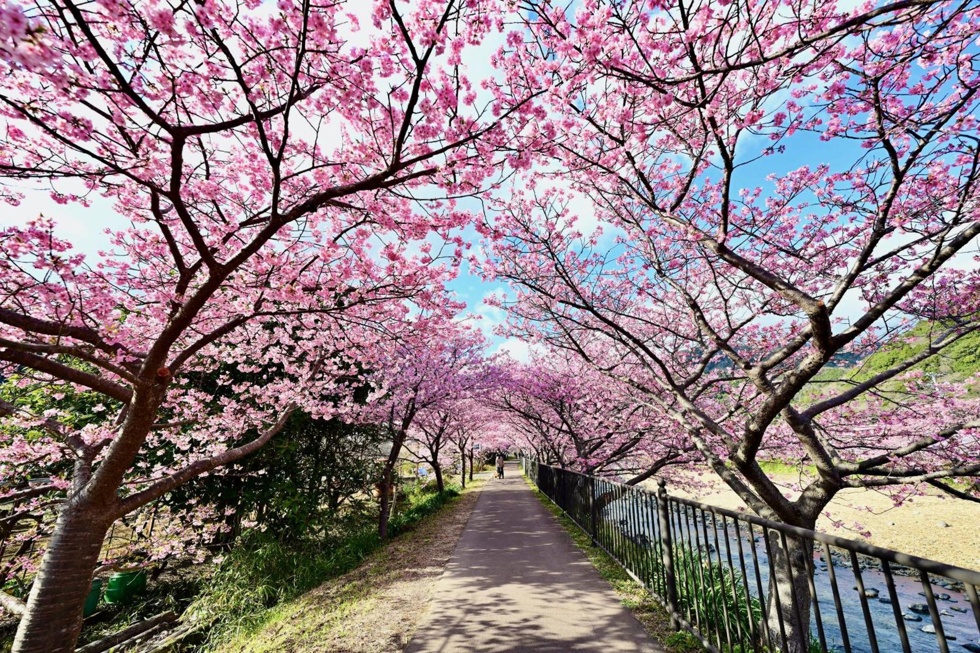 Kawazu Log House Villa ภายนอก รูปภาพ